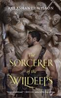 The_sorcerer_of_the_Wildeeps